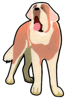 『犬の乳酸菌』に関するヒントや疑問